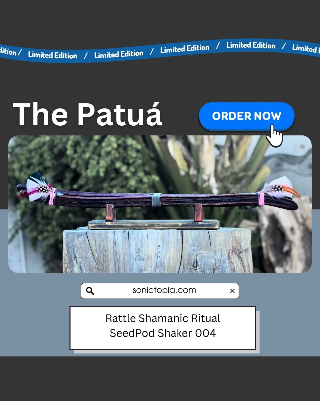 The Patuá - Rattle Shamanic Ritual SeedPod Shaker (Limited Edition) 004