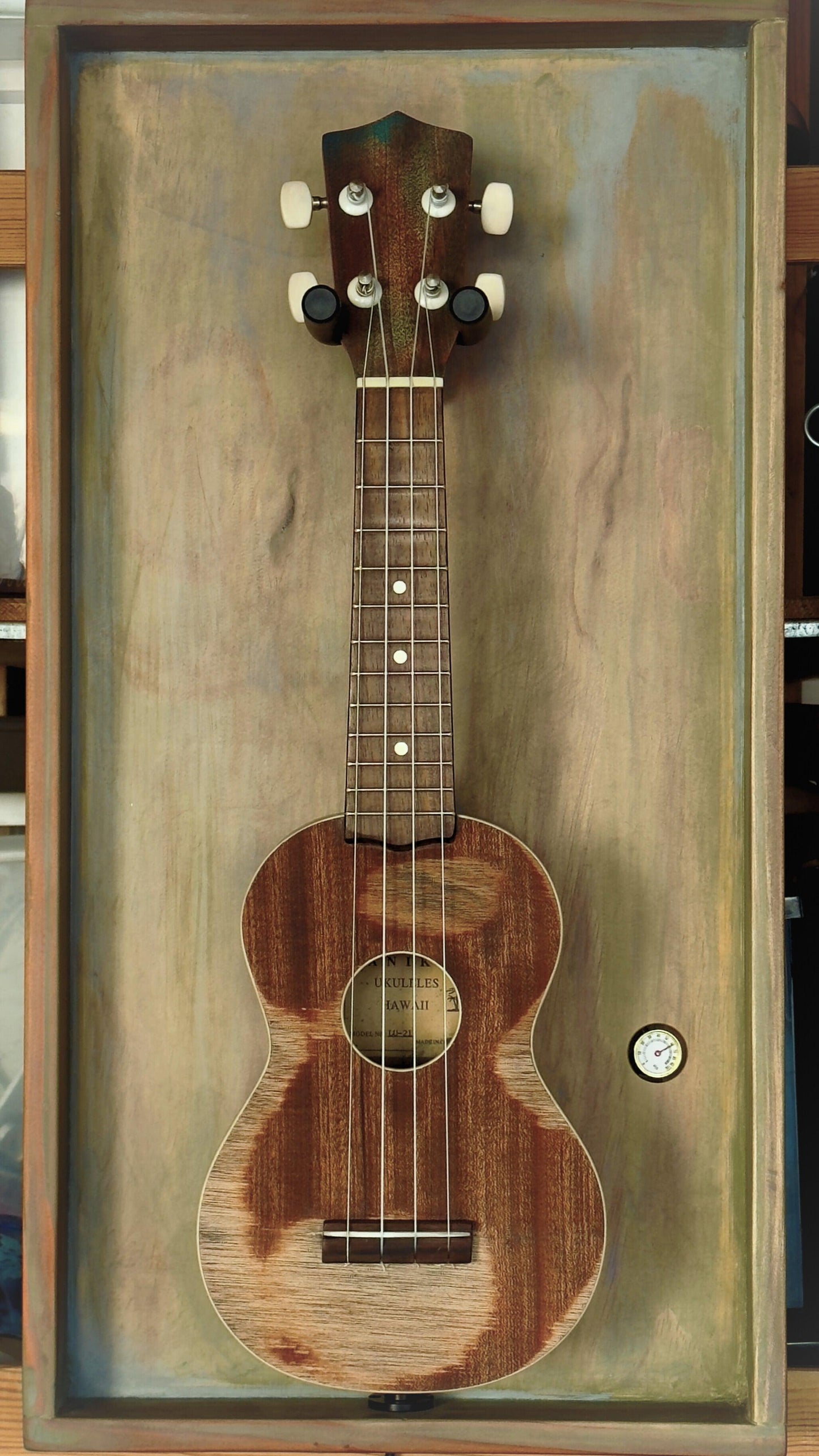 The Uke Barn - Wall frame for Soprano Ukulele - Relic Series - Sage Green - SONICTOPIA